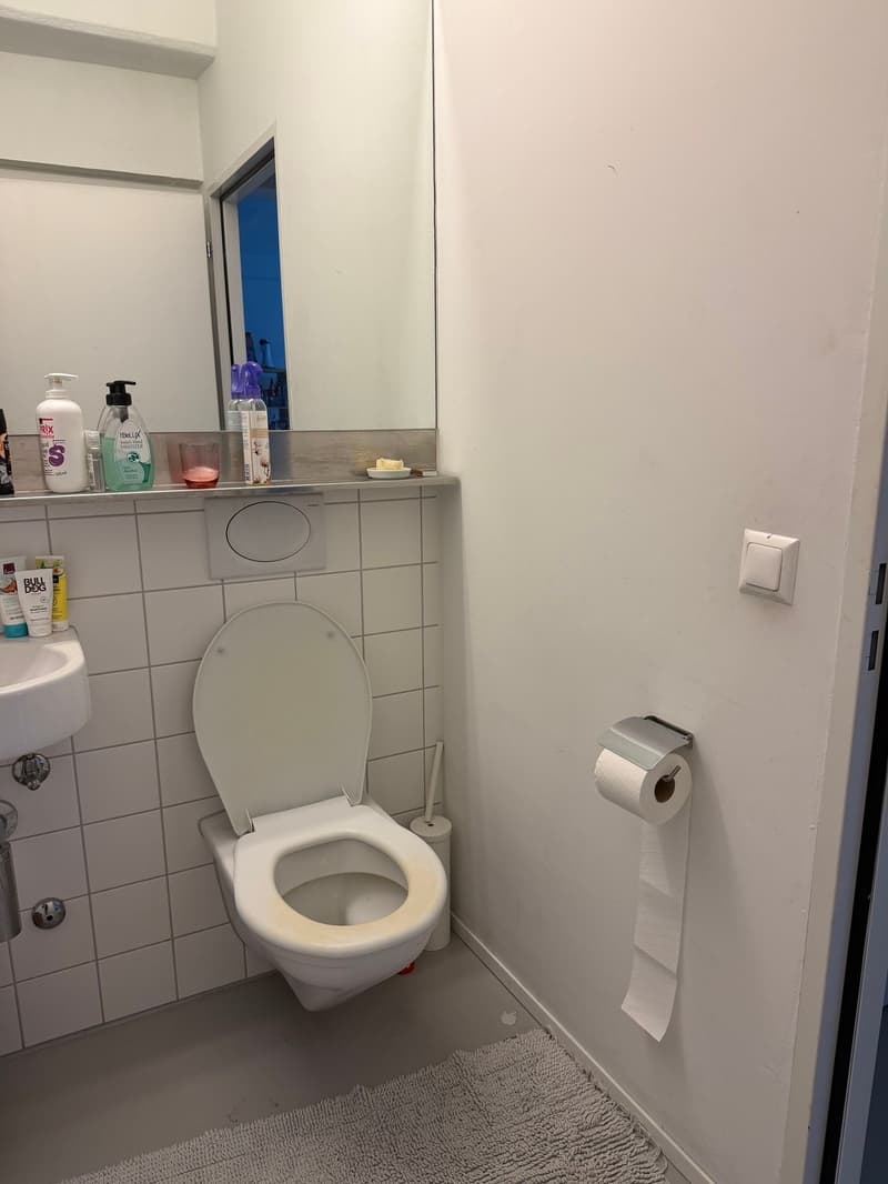 Modern 2.5-Room Loft near Sihl City, Zürich  3-Month Sublet (4)