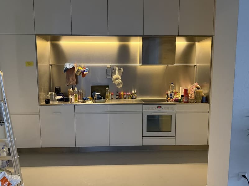 Modern 2.5-Room Loft near Sihl City, Zürich  3-Month Sublet (3)