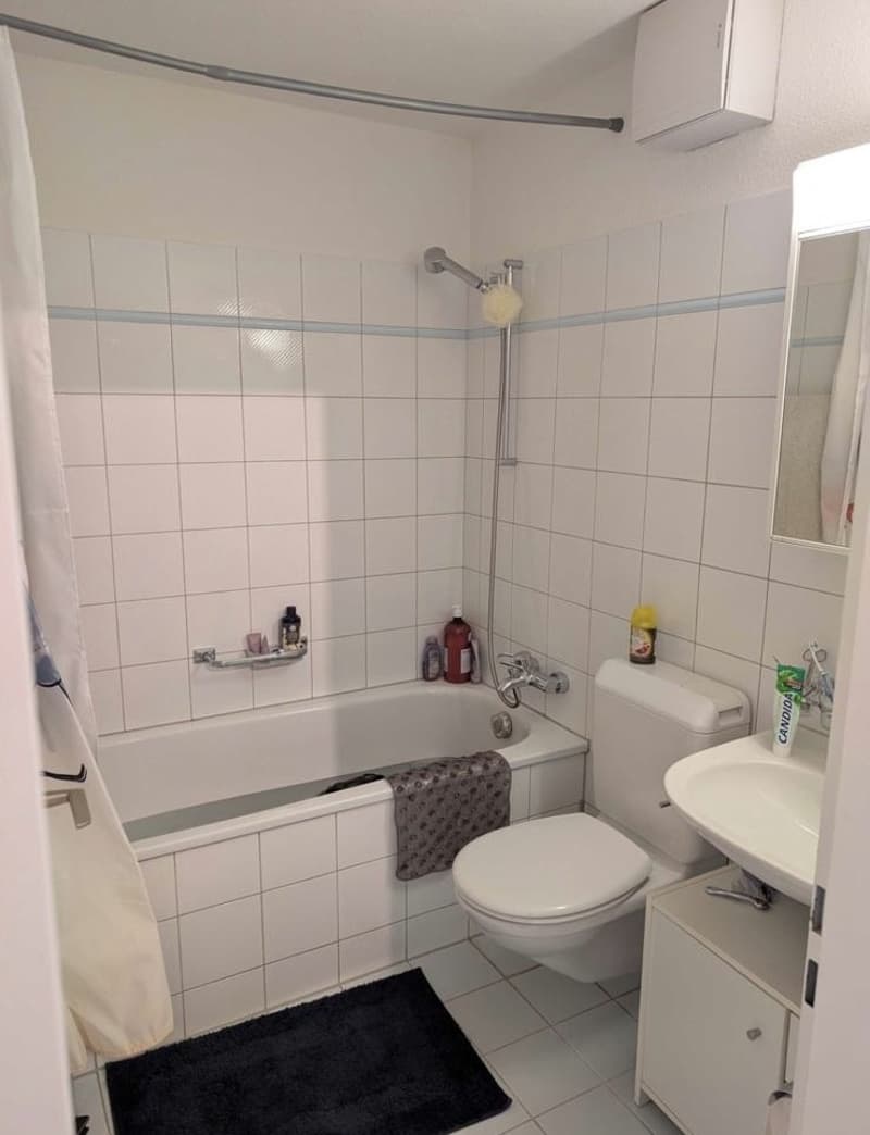 Nachmieter/in für 3.5-Zimmer-Wohnung in Dübendorf gesucht (7)