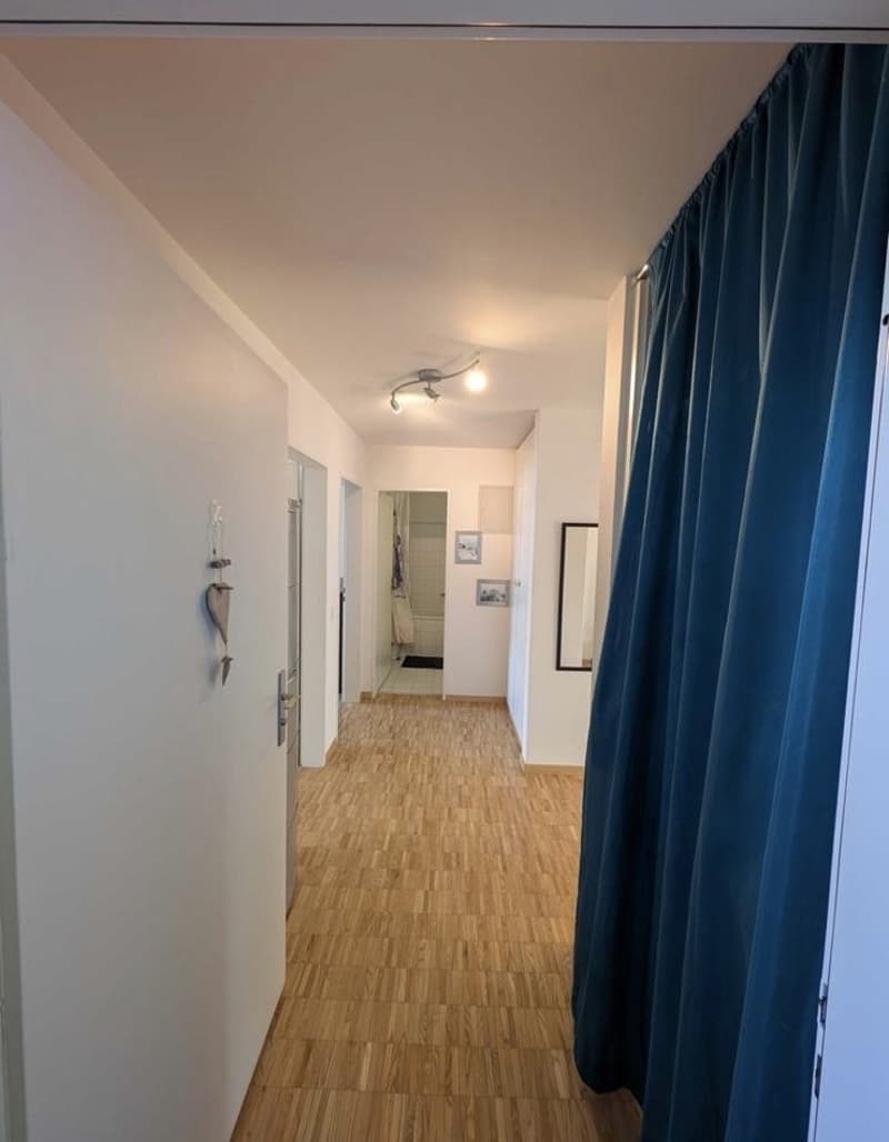 Nachmieter/in für 3.5-Zimmer-Wohnung in Dübendorf gesucht (6)