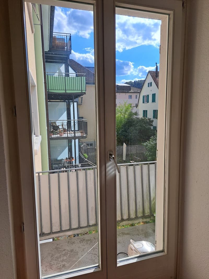 Zentral und doch ruhig: 2-Zimmer-Wohnung im Herzen von Winterthur (4)