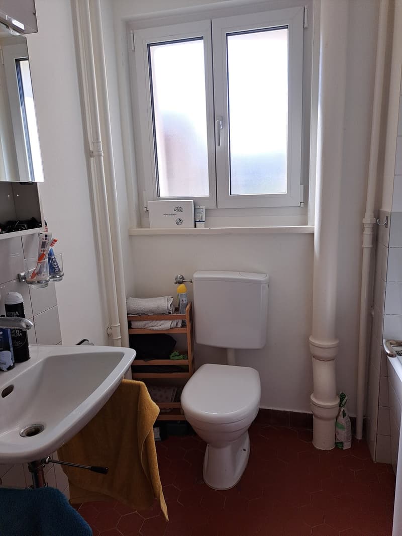 Zentral und doch ruhig: 2-Zimmer-Wohnung im Herzen von Winterthur (6)