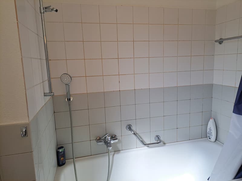 Zentral und doch ruhig: 2-Zimmer-Wohnung im Herzen von Winterthur (7)