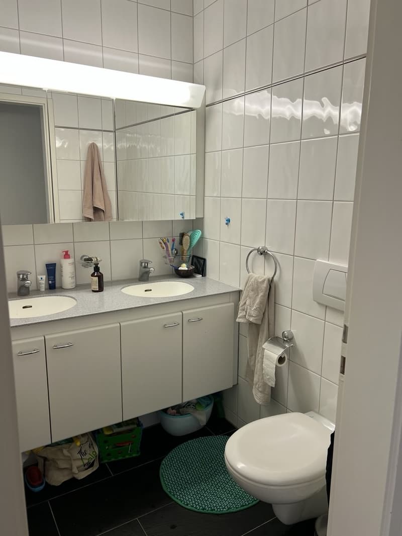 Spacious family apartment with private playground access in Zollikerberg (10)