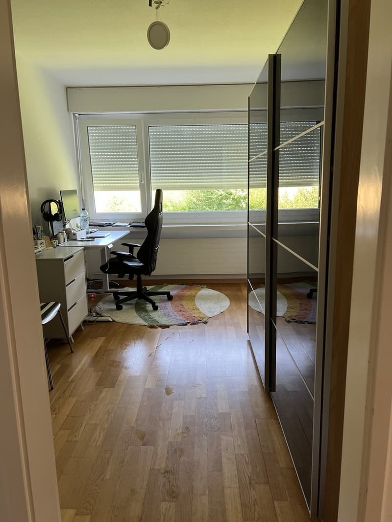 Spacious family apartment with private playground access in Zollikerberg (4)