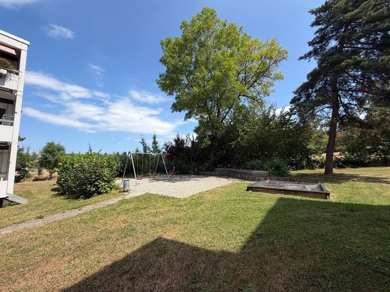 Spacious family apartment with private playground access in Zollikerberg (8)