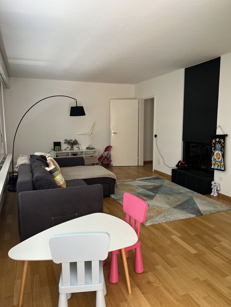 Spacious family apartment with private playground access in Zollikerberg (6)
