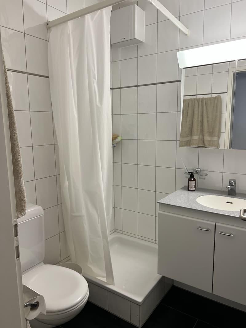 Spacious family apartment with private playground access in Zollikerberg (9)
