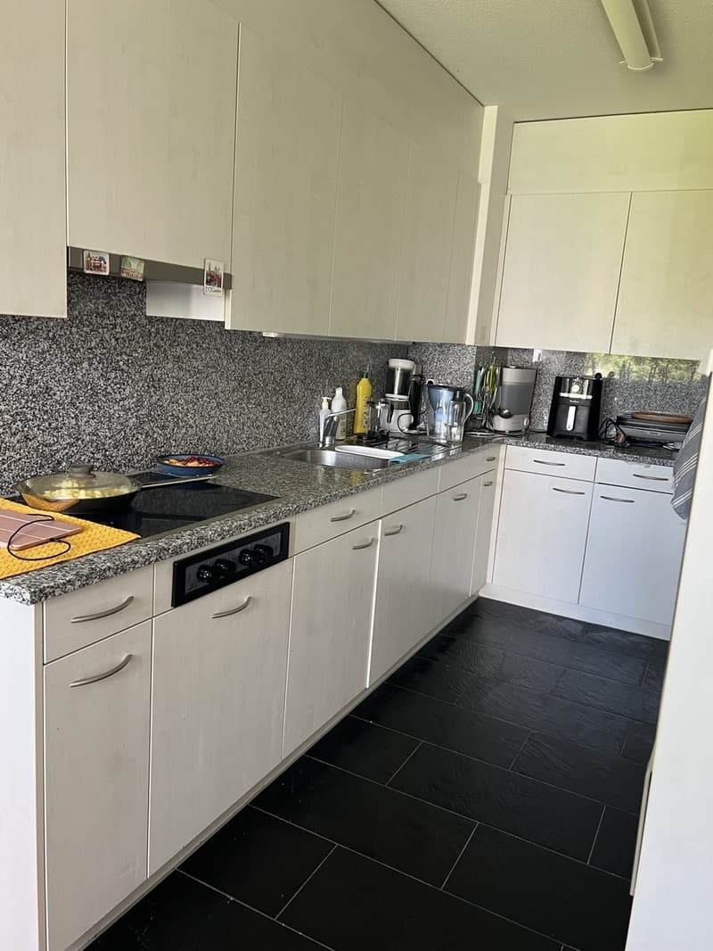 Spacious family apartment with private playground access in Zollikerberg (2)