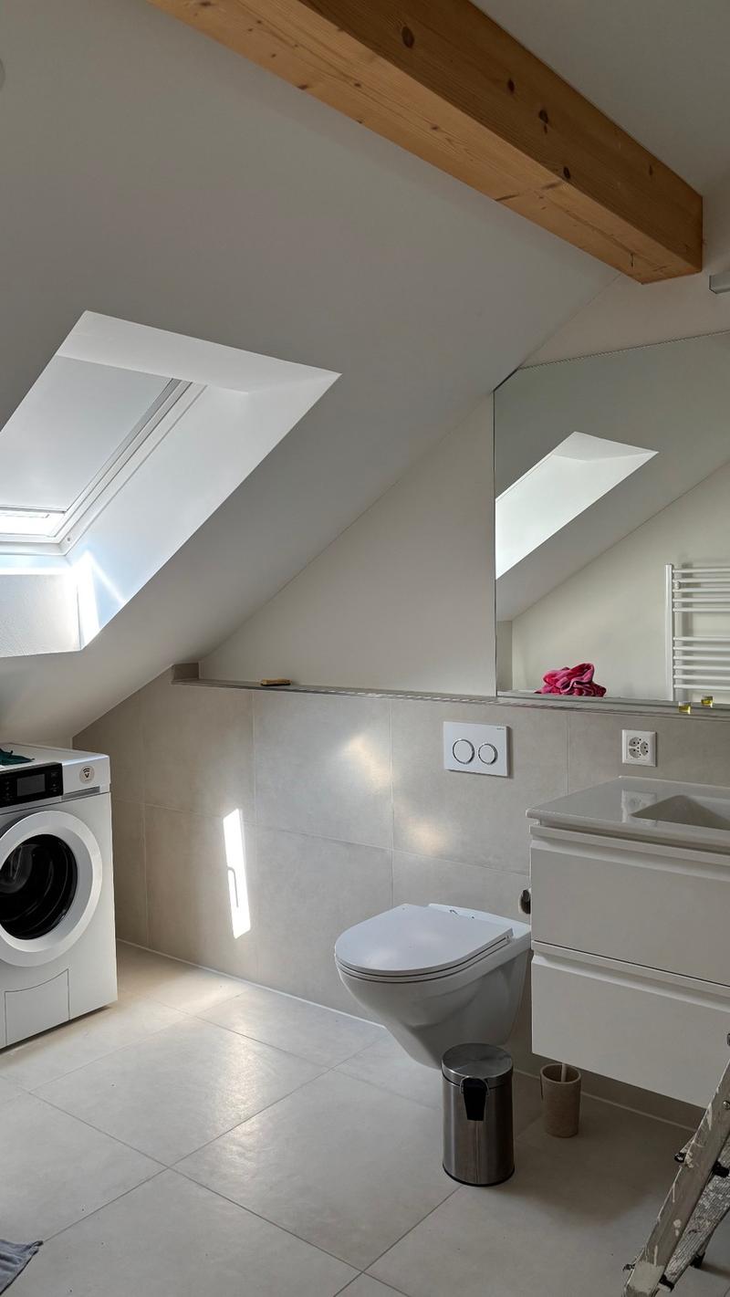 Grosse 1,5 (2) Zimmerwohnung (7)
