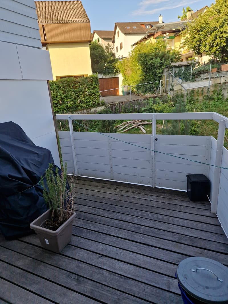 Grosse, moderne 2.5er mit Kühlung (8)
