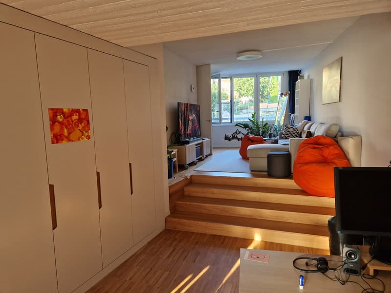 Grosse, moderne 2.5er mit Kühlung (6)