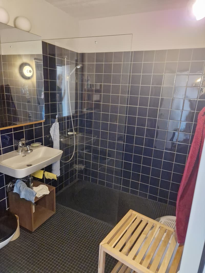 Grosse, moderne 2.5er mit Kühlung (4)