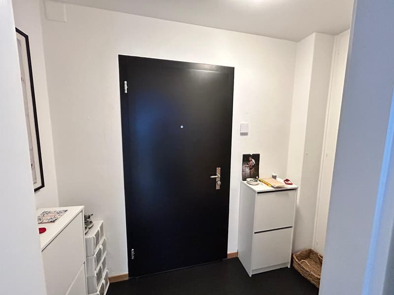 Wunderschöne, helle 2-Zimmer-Wohnung im Breitsch (9)