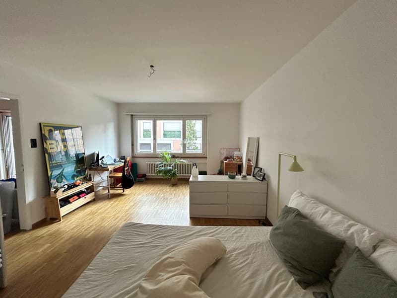 Wunderschöne, helle 2-Zimmer-Wohnung im Breitsch (4)