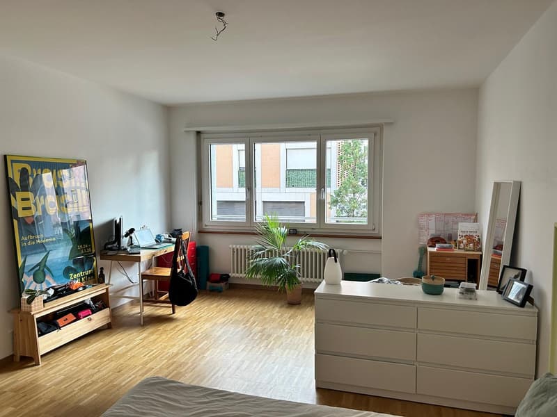 Wunderschöne, helle 2-Zimmer-Wohnung im Breitsch (1)