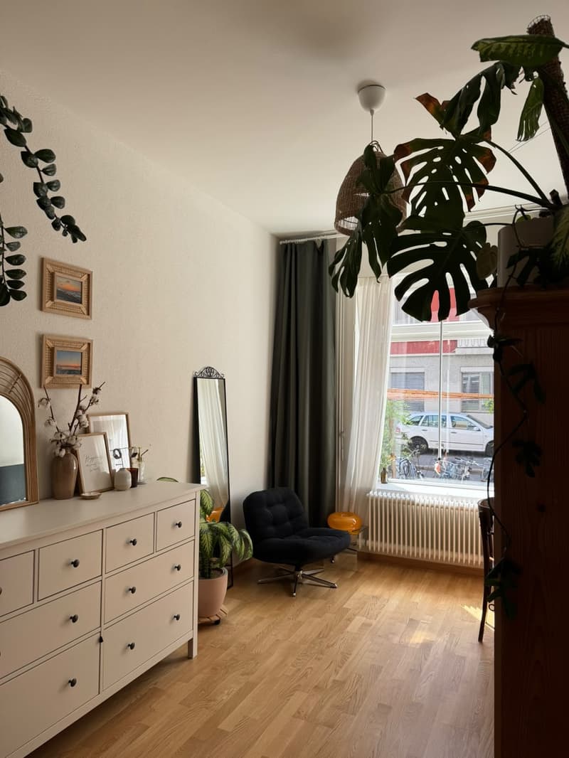 Befristete Wohnung in Wiedikon mit Katze (8)
