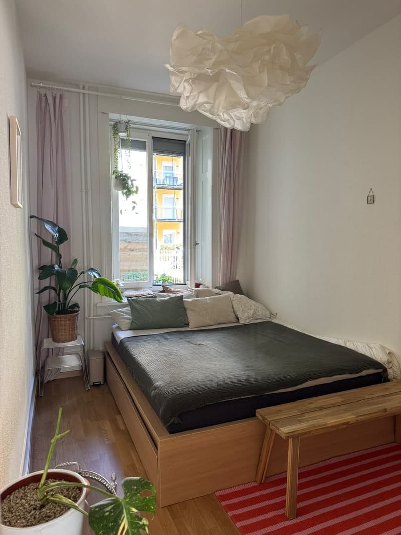 Befristete Wohnung in Wiedikon mit Katze (6)