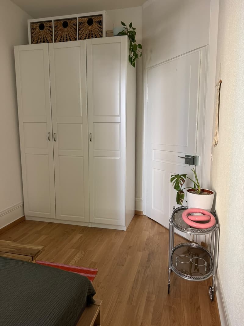 Befristete Wohnung in Wiedikon mit Katze (7)