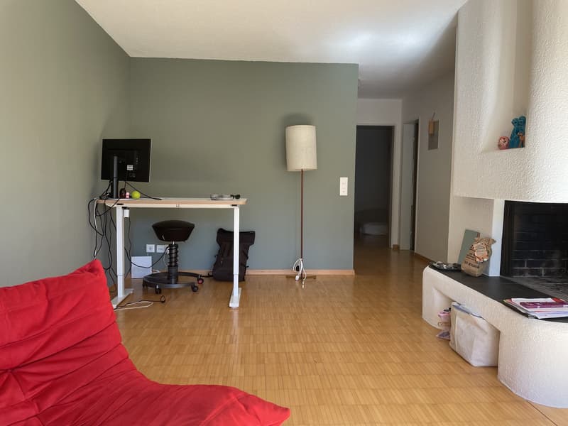Cheminée, Badewanne mit Fenster, Terrasse & Garten in Küsnacht (9)