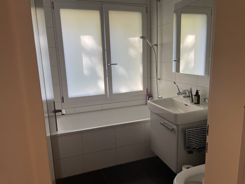 Cheminée, Badewanne mit Fenster, Terrasse & Garten in Küsnacht (2)