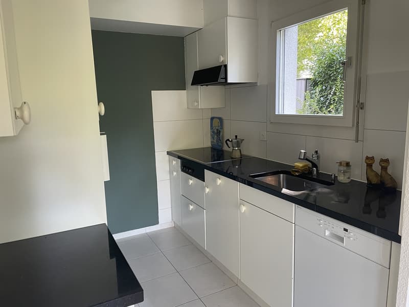 Cheminée, Badewanne mit Fenster, Terrasse & Garten in Küsnacht (5)