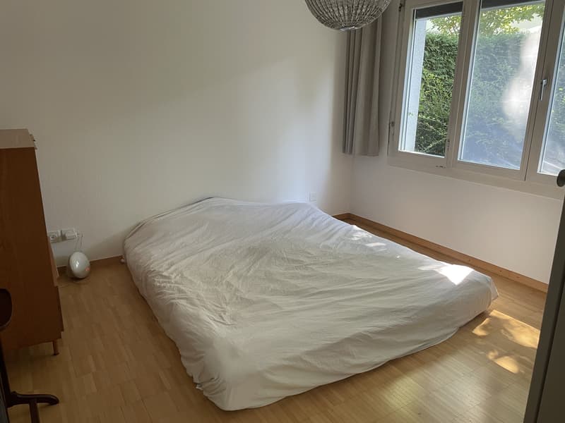 Cheminée, Badewanne mit Fenster, Terrasse & Garten in Küsnacht (3)