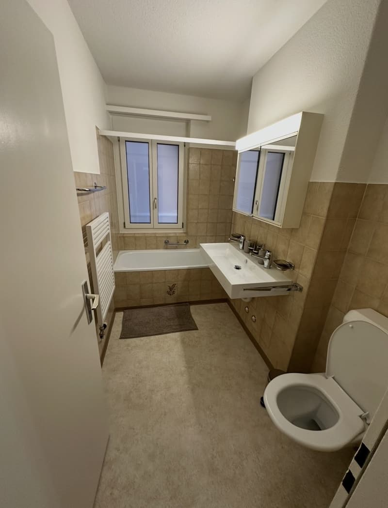 WG-Zimmer, Langstrasse 8005 (5)