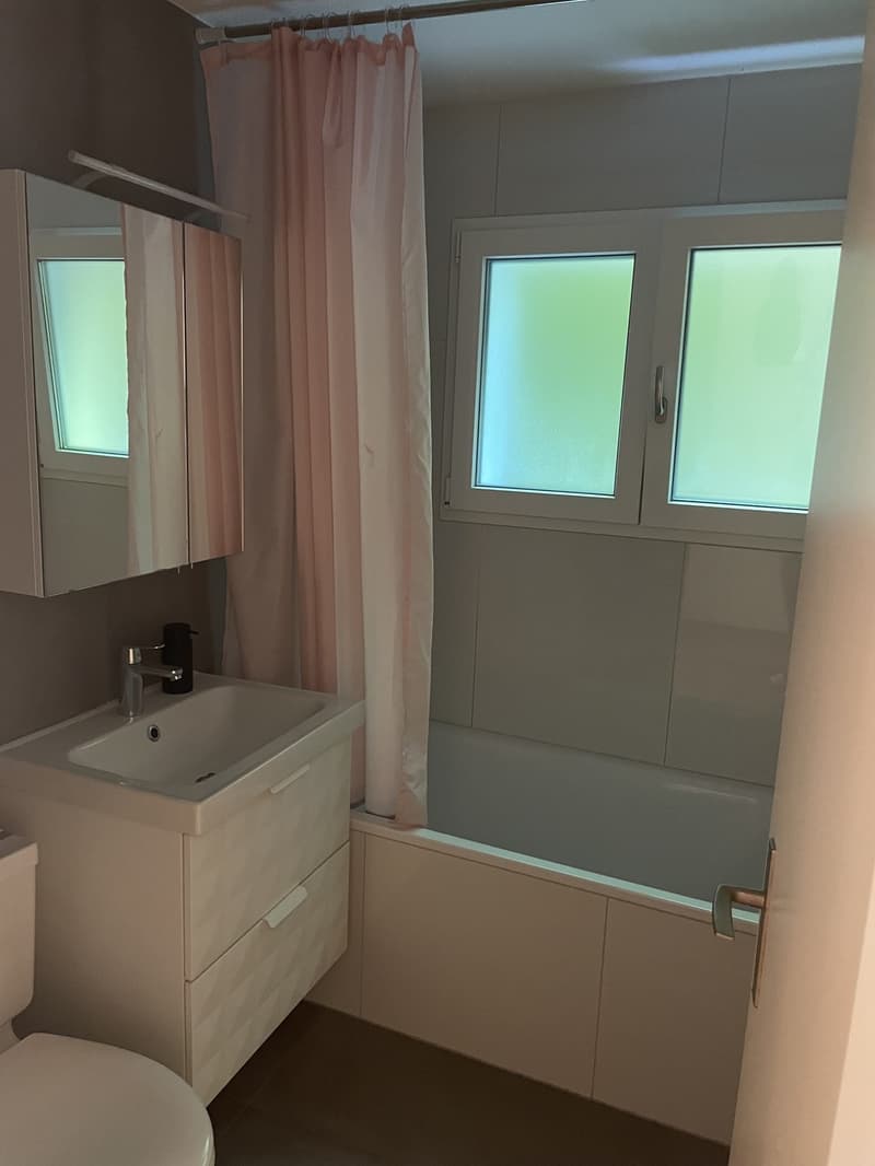 Wohnung mit grosser Terrasse im Marzili (9)