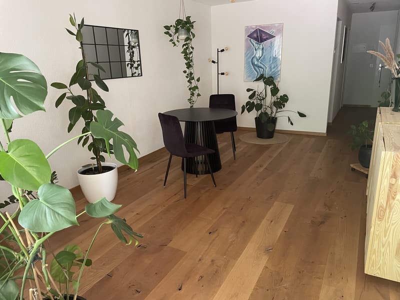 Wohnung mit grosser Terrasse im Marzili (2)
