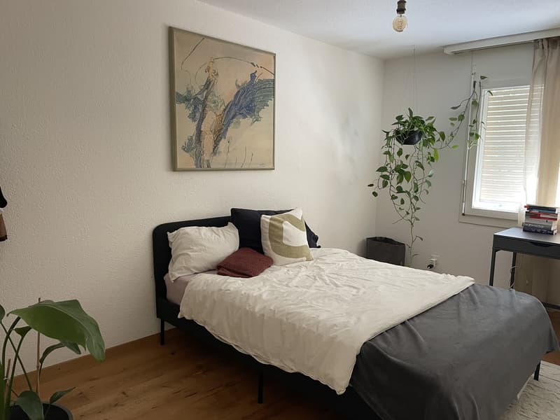 Wohnung mit grosser Terrasse im Marzili (4)