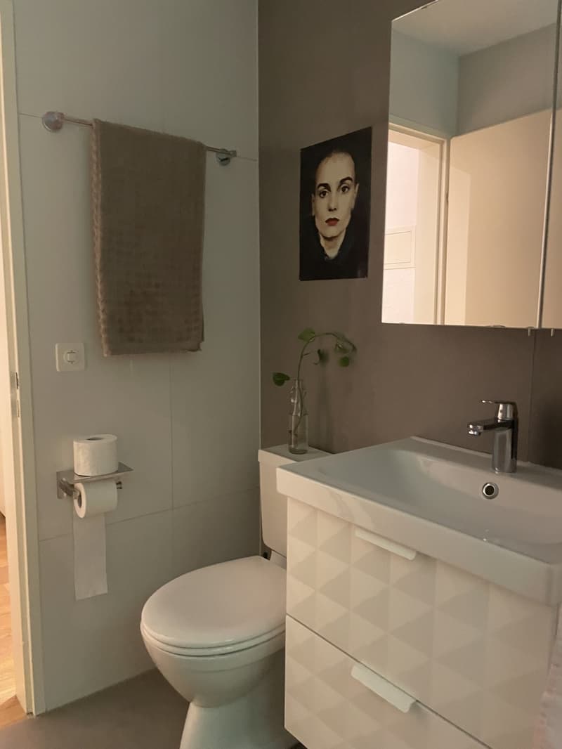 Wohnung mit grosser Terrasse im Marzili (8)