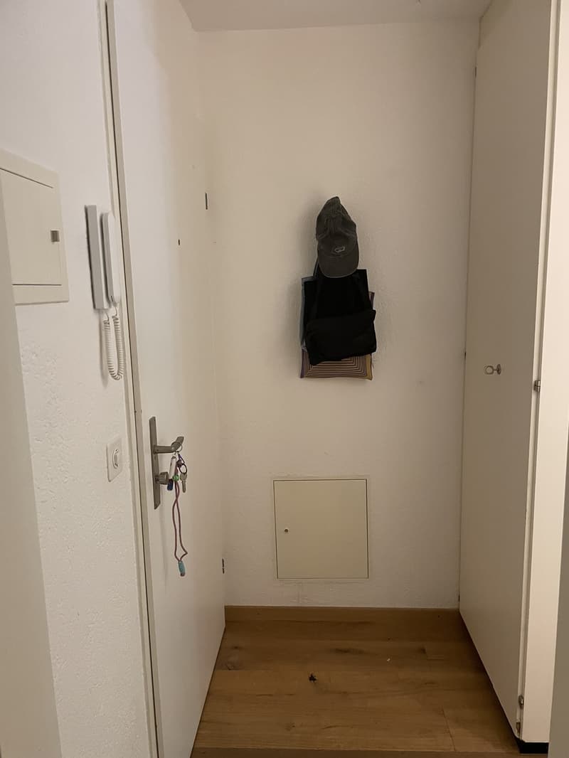 Wohnung mit grosser Terrasse im Marzili (10)