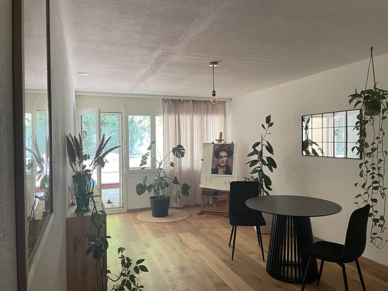 Wohnung mit grosser Terrasse im Marzili (1)