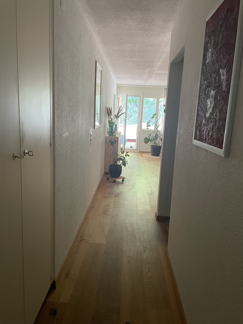 Wohnung mit grosser Terrasse im Marzili (3)
