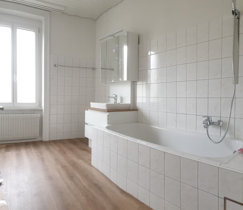 Stilvolle 4.5 Zimmer Wohnung (4)