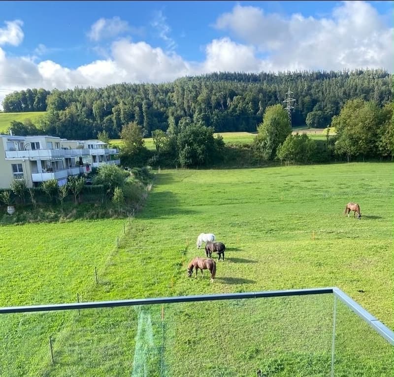 Schöne Wohnung (5)