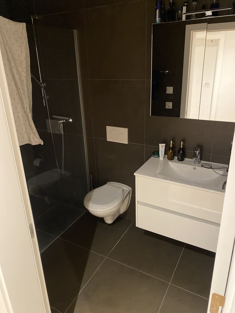 Schöne Wohnung (7)