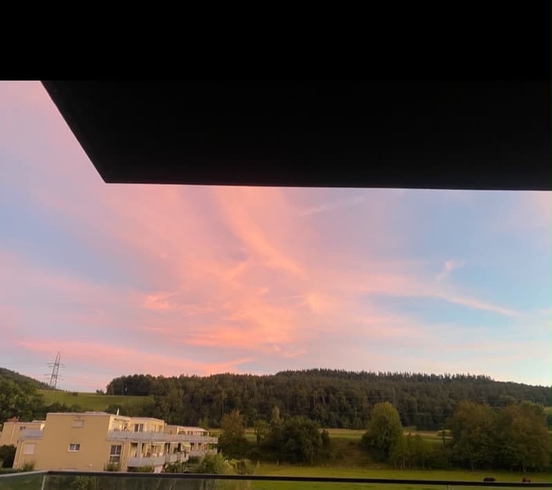 Schöne Wohnung (10)