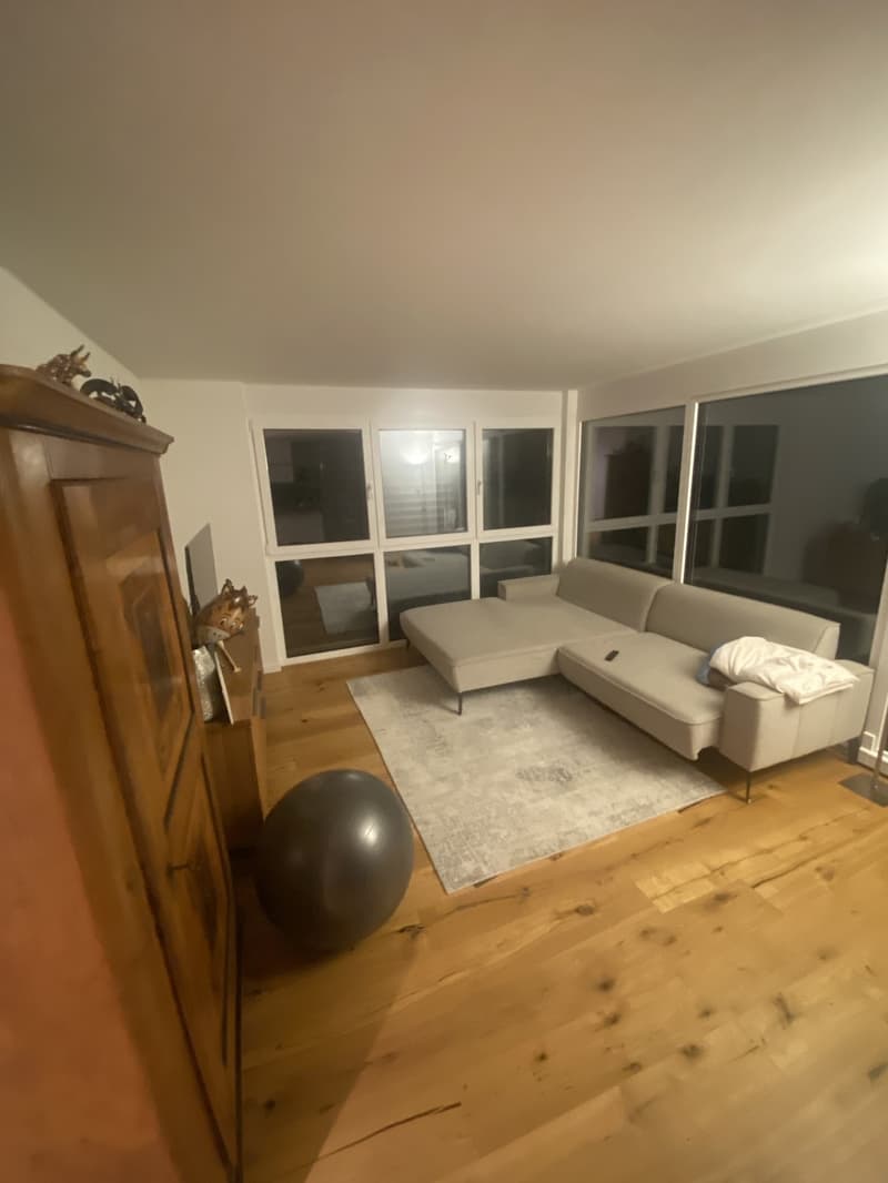 Schöne Wohnung (8)