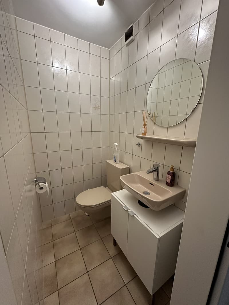 Helle 4.5-Zimmer-Wohnung mit Balkon in Winterthur ab 01.Oktober 2026 verfügbar (9)