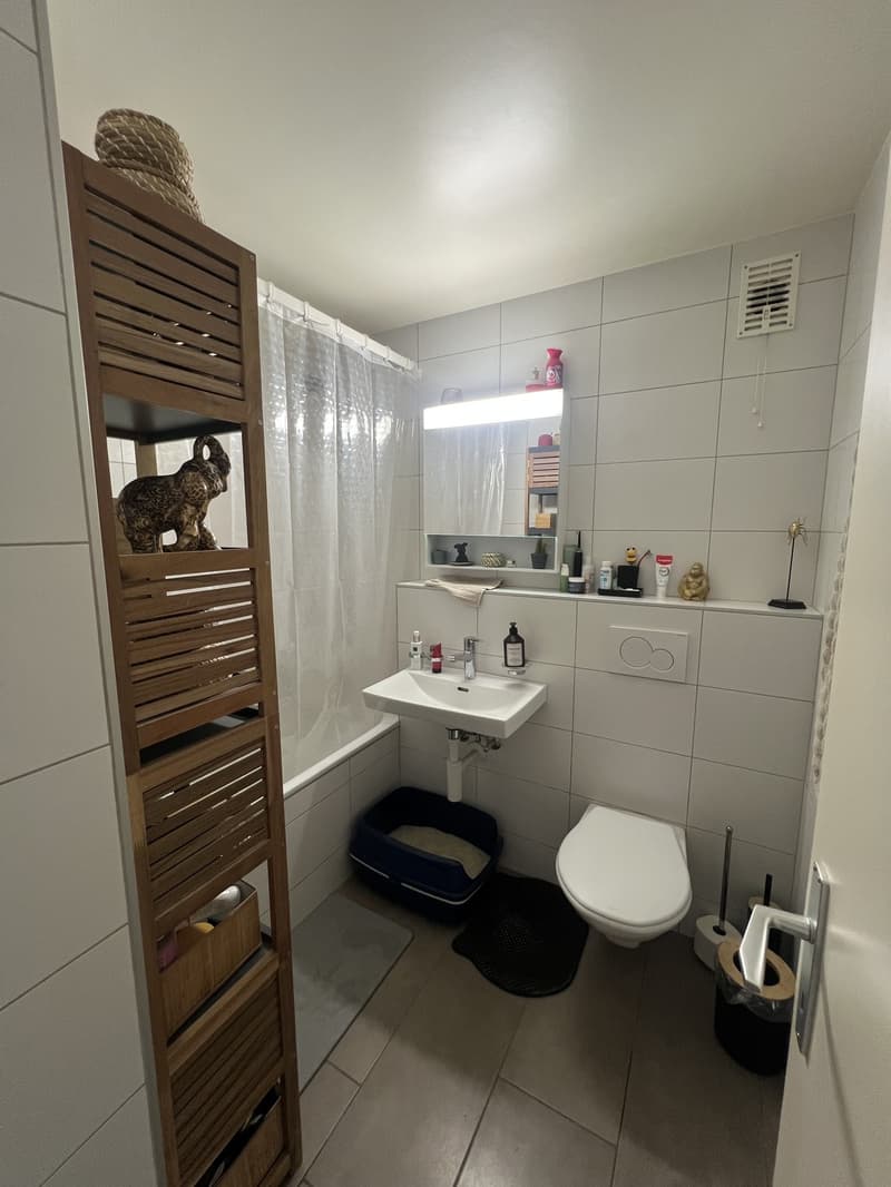 À louer Magnifique appartement lumineux de 4 pièces à La Chaux-de-Fonds (7)