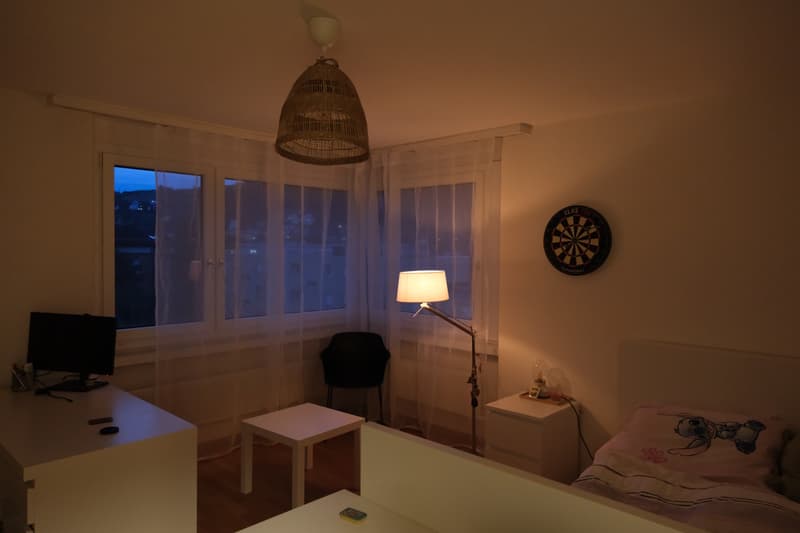 1 1/2 Zimmer Wohnung St.Gallen (1)