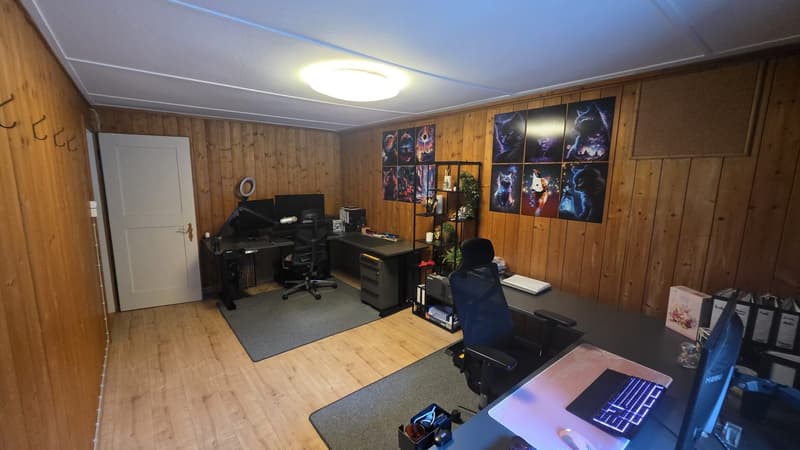 Nachmieter gesucht für Traumhafte 5.5-Zimmer-Wohnung mit grossem Garten in Bargen (SH) (8)