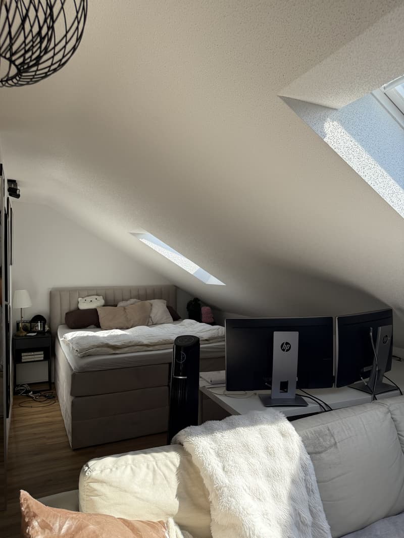 1 ½ Zimmer-Wohnung, 4657 Dulliken (4)