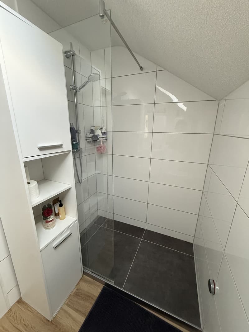 1 ½ Zimmer-Wohnung, 4657 Dulliken (6)