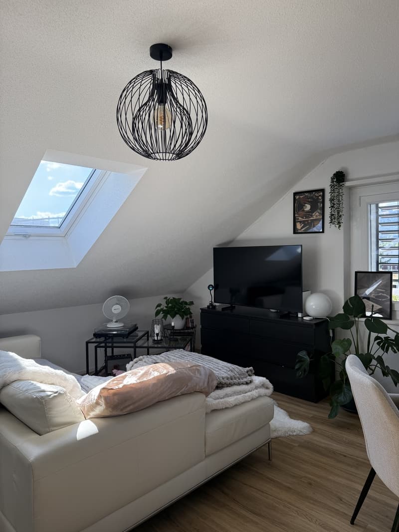 1 ½ Zimmer-Wohnung, 4657 Dulliken (1)
