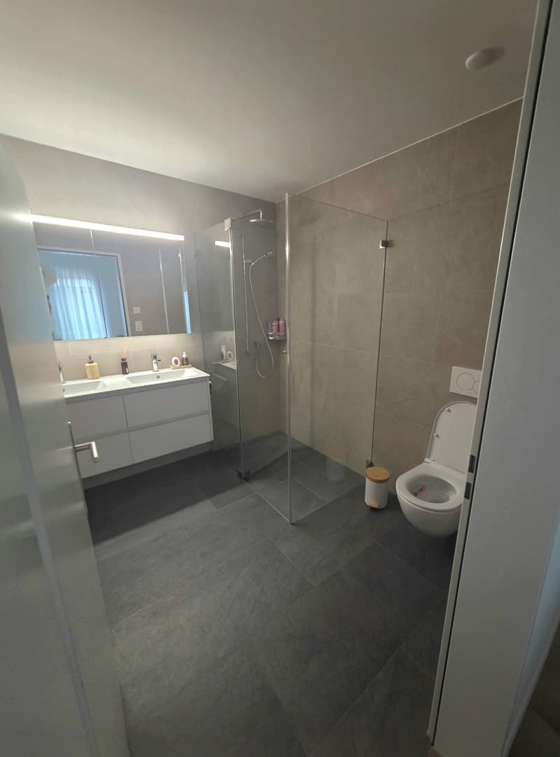 Moderne 4.5-Zimmer-Wohnung im Eigentumsstandard (4)