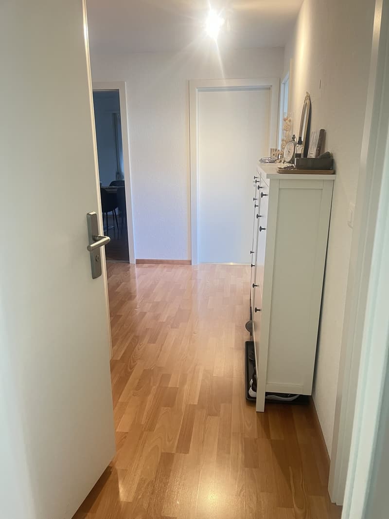 Charmante 3.5 Zimmerwohnung in Urdorf (8)