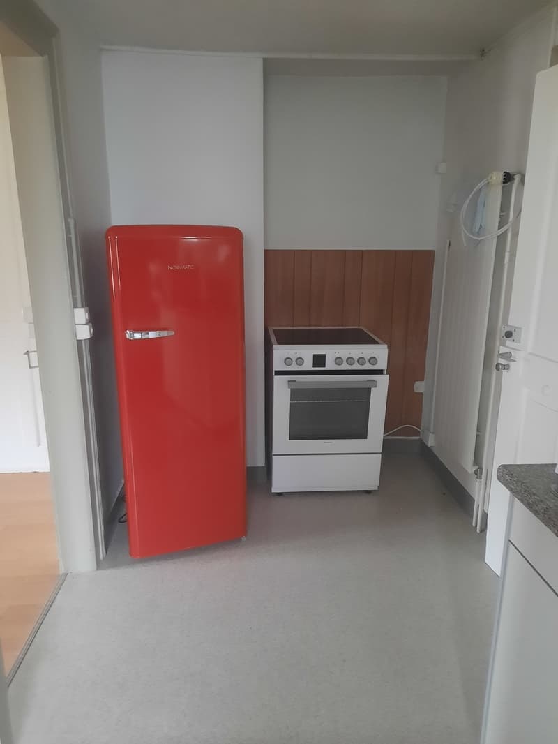 Zu Vermieten 3 Zi-Wohnung (1)